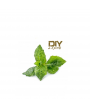 Arôme DIY Menthe Verte Arôme DIY Menthe Verte