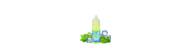 Icee Mint salts 10ml Fruizee