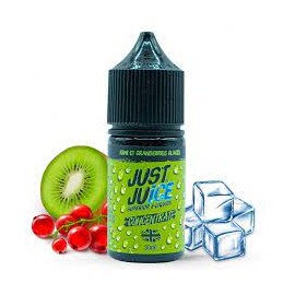 Concentré Kiwi & Cranberries Glacés Just Juice