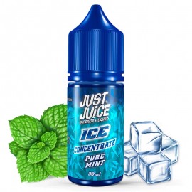 Concentré Ice Menthe Pure Just Juice