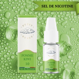 Pomme kiwi Sel de Nicotine