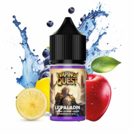 VAPING QUEST – Le Paladin DIY 30ML