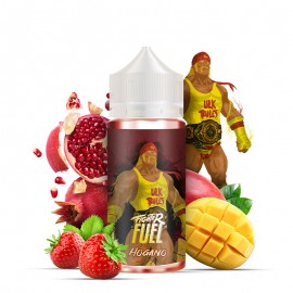 Hogano Fighter Fuel