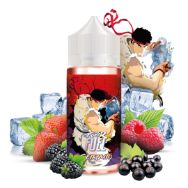 Seiryuto Fighter Fuel