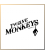 Twelve Monkeys